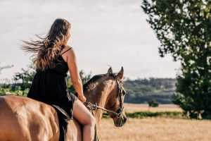 Home Infographic over paardenhouderij voor ruiters met voeding, verzorging en beweging