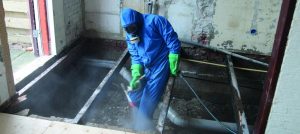 Home Voorbeeld van kelderzwam bestrijding: behandeling van aangetast hout en vochtbestrijding in vochtige kelders