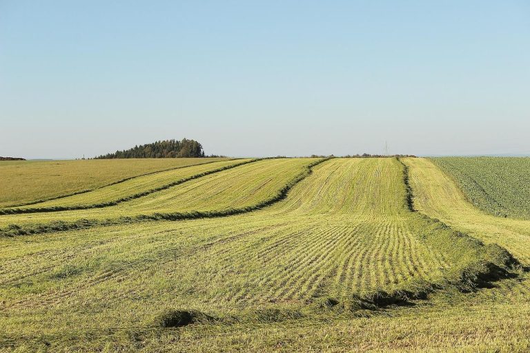 Home Praktische inzichten voor milieu en landbouw met bodem- en wateranalyse voor optimale gewasgroei en duurzame landbouwpraktijk